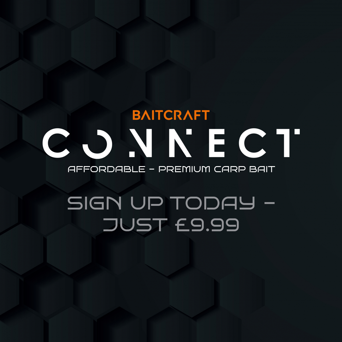 BAITCRAFT CONNECT - 2024