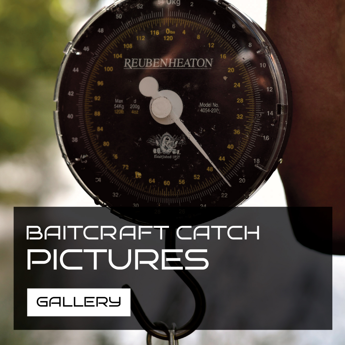 CATCH PICTURE GALLERY