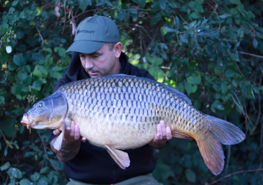 BAITCRAFT CATCH PICTURES