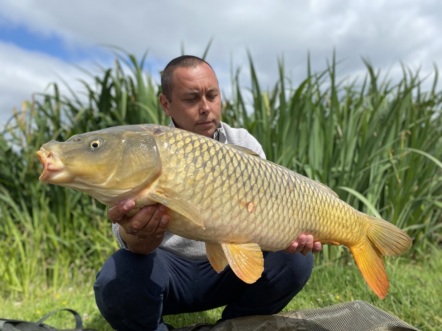 BAITCRAFT CATCH PICTURES