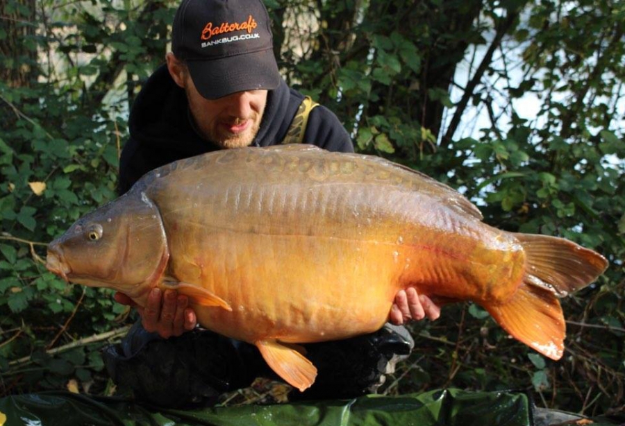 BAITCRAFT CATCH PICTURES