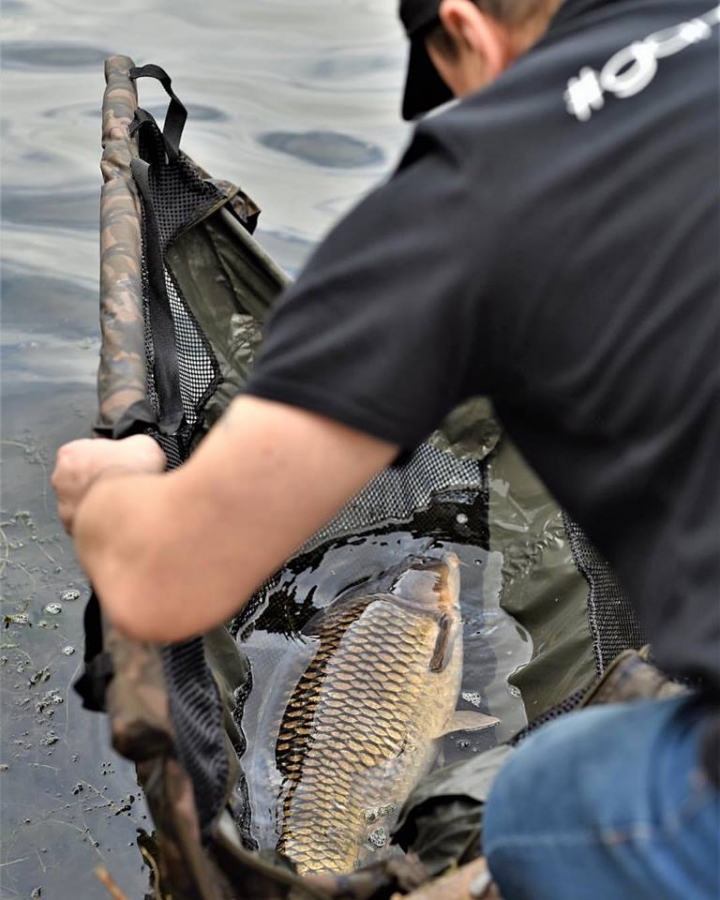 BAITCRAFT CATCH PICTURES