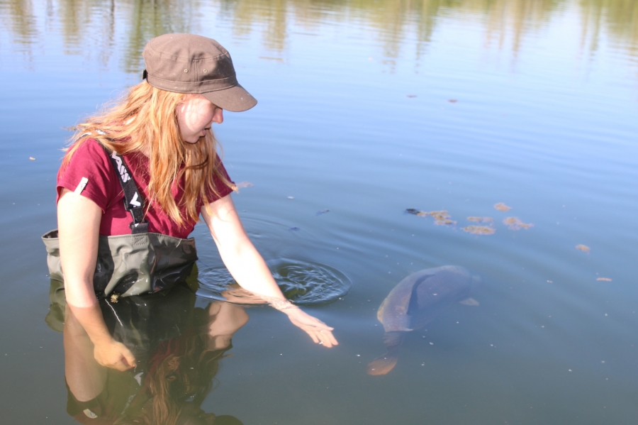 BAITCRAFT CATCH PICTURES