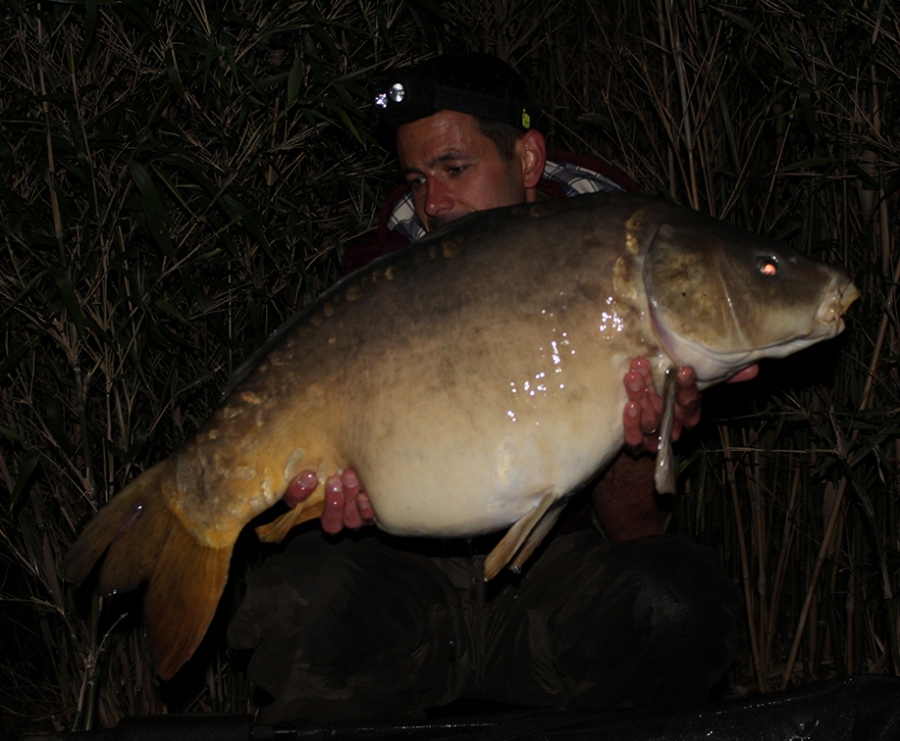 BAITCRAFT CATCH PICTURES