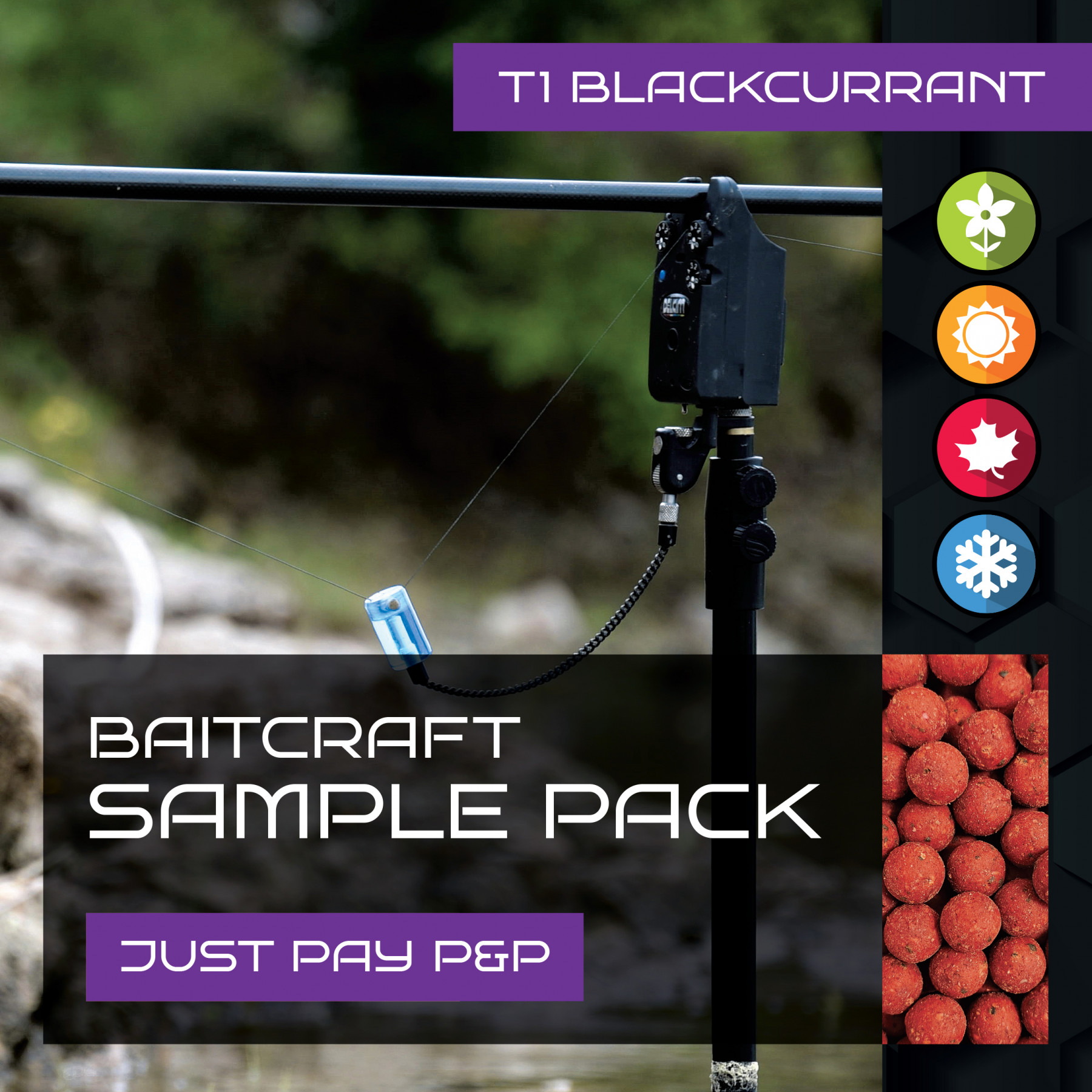 BAITCRAFT T1 BLACKCURRANT SAMPLE PACK
