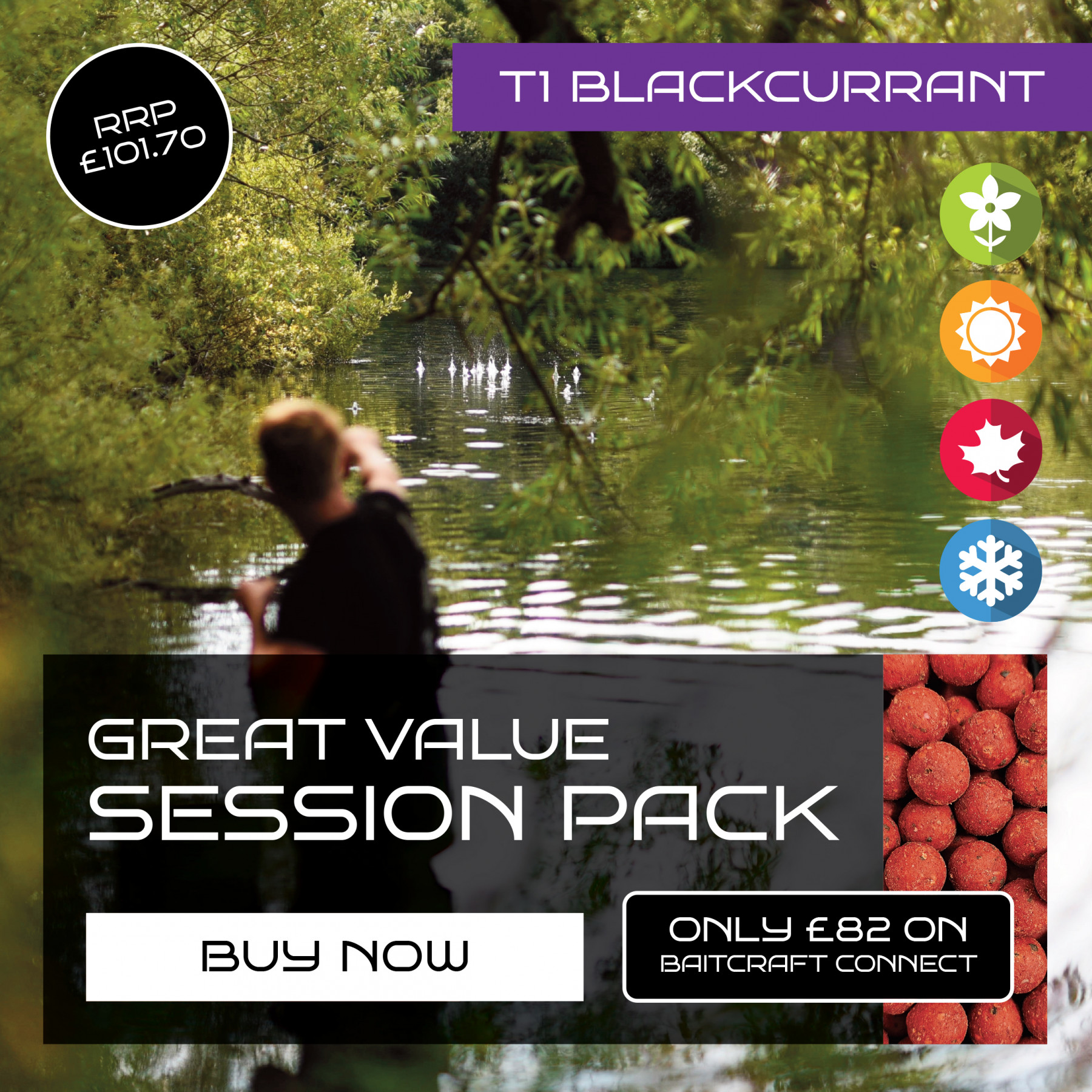 BAITCRAFT T1 BLACKCURRANT SESSION PACK