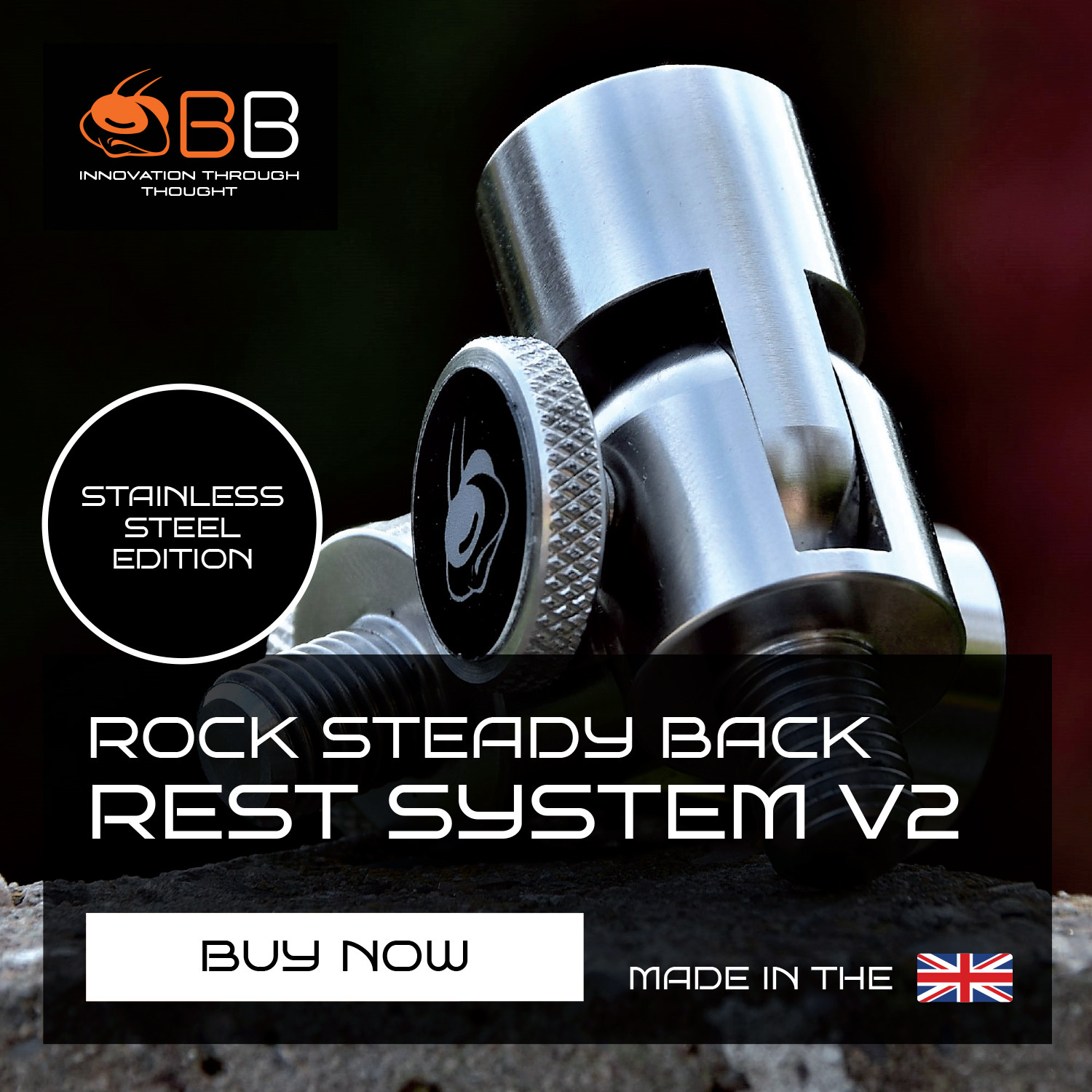 BANK BUG ROCK STEADY BACK REST SYSTEM V2 STAINLESS STEEL