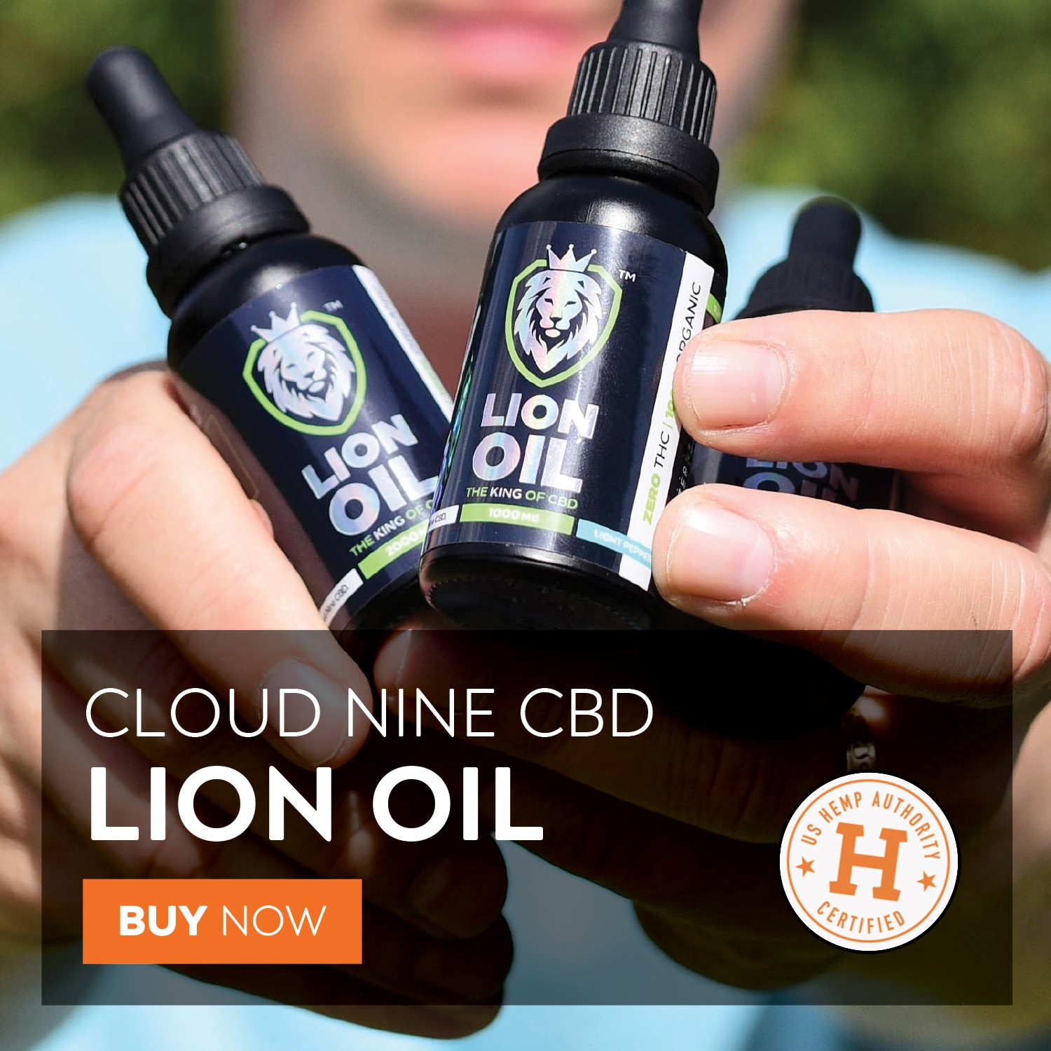 CLOUD NINE CBD - LION OIL