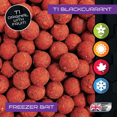 BAITCRAFT T1 BLACKCURRANT FREEZER BAIT - SIZE OPTIONS