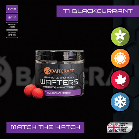 BAITCRAFT T1 BLACKCURRANT MATCH THE HATCH WAFTERS - SIZE OPTIONS