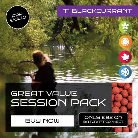 BAITCRAFT T1 BLACKCURRANT SESSION PACK - BOILIE CHOICE AND SIZE OPTIONS